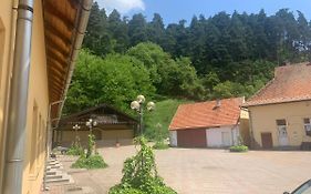 Pensiune Teliu